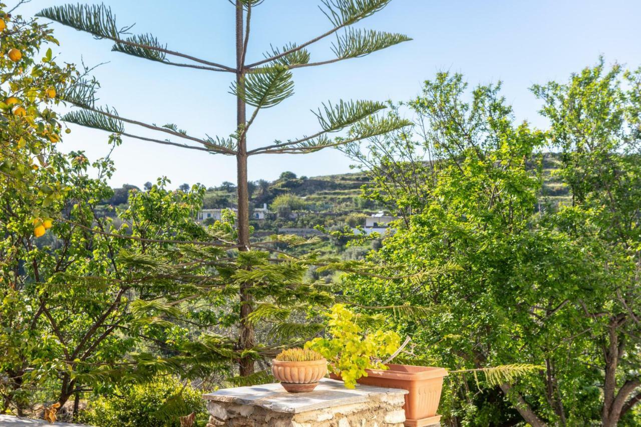 Villa Matakia Ano Potamia Esterno foto
